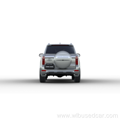 Midsize Business Luxury SUV gwm Tank 500